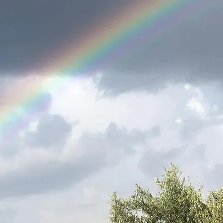 莱斯科斯特贝尔斯住宿加早餐旅馆 住宿加早餐酒店