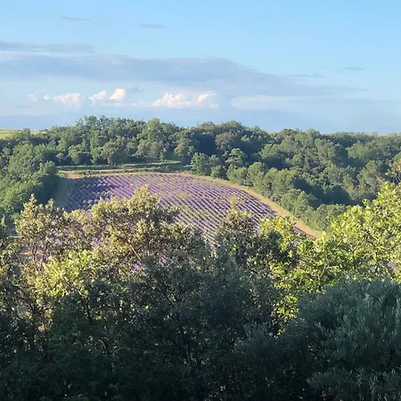 莱斯科斯特贝尔斯住宿加早餐旅馆 住宿加早餐酒店