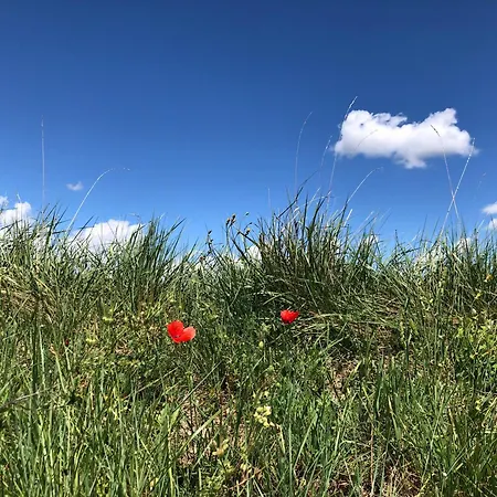住宿加早餐酒店 莱斯科斯特贝尔斯住宿加早餐旅馆 瓦朗索尔
