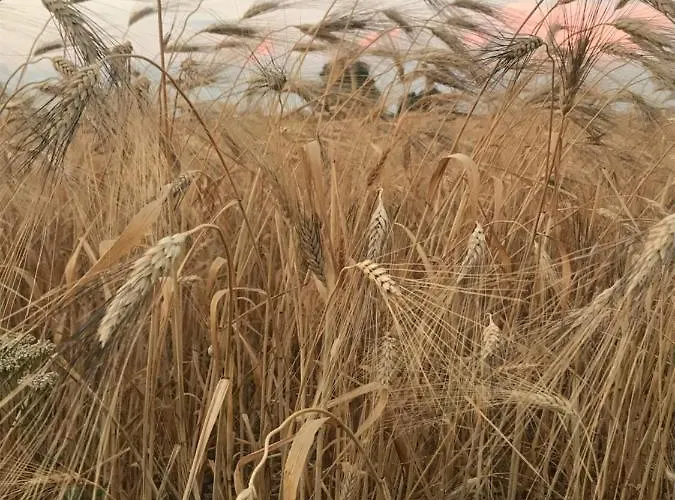 Les Costebelles B&B 3*