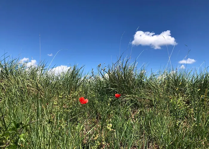 B&B Les Costebelles 발랑솔