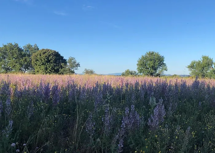 Les Costebelles 3* 발랑솔