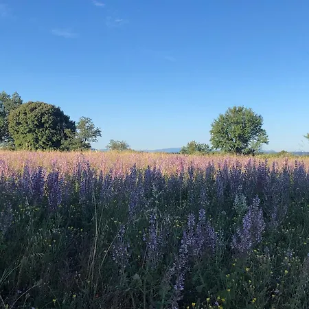 Les Costebelles 3* Valensole
