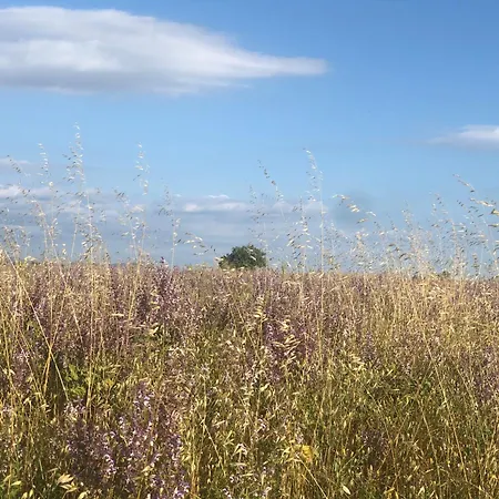 Les Costebelles Bed & Breakfast